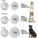 Personalized Violet Dog Tags - Engraved Stainless Steel Pet ID for Dogs & Cats | Unique Animal Brands - Buy Online on GoSupps.com