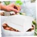 Milisten 100pcs Bag Houseplants Nonwoven Plant Pot Nursery Bag Indoor Tea Bag - Buy Online on GoSupps.com