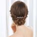 Aneneiceera Gold Wedding Crystal Hair Comb Clip - Rhinestone Headpiece for Bride & Bridesmaids - Buy Online on GoSupps.com