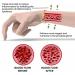 Biancat ProstaPower Magnetic Copper Wristband Magnetic Copper Prostate Band Fashion Bracelets Lymphvity Detoxification Bracelet Prostate Wristband for Man Woman - Improves Circulation (Gold) - Buy Online on GoSupps.com