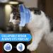Lufeis Adjustable Cat Cone Collar for Recovery - Soft Elizabethan Collar for Cats & Puppies - Prevent Biting & Licking - Size Medium - Buy Online on GoSupps.com