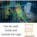 NA 2 Pcs Bird Mirror Parrot Hanging Swing Bird Swing Hanging Toy for Parakeets Conures Cockatiels Macaw - Buy Online on GoSupps.com