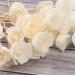 Angoily Rattan Diffuser Sticks - 8 Natural Reed Sticks for Essential Oils | Aromatherapy & Home Fragrance Replacement - Buy Online on GoSupps.com