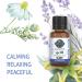 Garden of Life Organic Sleep Blend Essential Oil - Lavender, 0.5 fl oz - Buy Online on GoSupps.com
