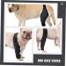 ifundom Comfy Brace Dog Knee Comfortable Dog Knee Protector Front Legs The Dog Auxiliary Belt S As Shown - Buy Online on GoSupps.com
