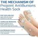 NOWLIN Orthopedic Bunion Relief Socks - Skin Tone, Women's One Size - Buy Online on GoSupps.com