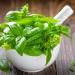 Ground basil (250g 8.8oz) basil powder 100% natural and without additives gently dried and ground basil powder 250 GR (8.8oz) - Buy Online on GoSupps.com
