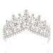 Tgirls Baroque Bridal Wedding Crowns and Tiaras Bride Princess Flower Rhinestone Headband Jewelry for Women and Girls (Silver)