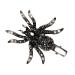 LALAFINA Spider Hairpin Kid Hair Accessories Hair Barrettes for Women Black Spider Hair Clip Halloween Bag Stuffer Black Hair Accessories Alloy Rhinestone Miss Filler Artificial