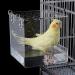 NEWCOMDIGI Bird Bathtub: Cage Accessory for Parakeet, Parrots, Sun Conure, Cockatiel - 1 Piece Canary Bath Inside Cage with Hook - Buy Online on GoSupps.com