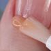 Whats Up Nails - Smoothie Cuticle Serum Moisturizer Balm Cream with Panthenol Glycerin Apricot Extract Moisturize Repair Dry Cuticles Cruelty Free Vegan Nail Care Natural Made in France 4.5ml - Buy Online on GoSupps.com