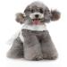 Qcwwy Princess Dress for Dogs & Cats - Comfortable Mesh Summer Dress for Small Pets - Breathable Polyester High-Time Fashion (M) - Buy Online on GoSupps.com