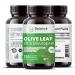Balance Breens High Strength Olive Leaf Extract 750mg - 120 Vegetarian Capsules - Cardiovascular & Immune Support - Buy Online on GoSupps.com