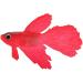 Buy Red Betta Fish | Floating Artificial Fish Decorations for Aquariums | International Shipping Available - Buy Online on GoSupps.com