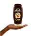 Garnier Whole Blends Haircare - Ginger Recovery Strengthening Shampoo & Conditioner Set 12.5 FL OZ - 1 Set - Buy Online on GoSupps.com
