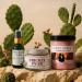 Nature Skin Shop Self-Care Gift Box - 3 Full-Size Products - with Prickly Pear Serum Body Creme & Sugar Scrub - Natural Skincare Set for Women - Perfect for Birthday Holiday & Thank You - Buy Online on GoSupps.com
