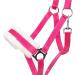 NETPROSHOP Solid Horse Halter - Padded Adjustable for Mini Shetty to Full & Coldblood - Pony Size Pink Color - International Shipping Available - Buy Online on GoSupps.com