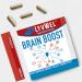 Brain Boost Capsules - Advanced Cognitive Enhancer for Focus Energy & Clarity - 5-Pack | Shop Internationally - Buy Online on GoSupps.com