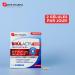 Fort Pharma - Br l'Activ Fort | Compl ment Alimentaire Br le Graisse base de Guarana - D gradation des Graisses install es - Perte de Poids | 60 G lules | 1 mois Br lactiv Fort 60 g lules - Buy Online on GoSupps.com