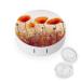 Contact Lens Case Red Poppy Flowers Print Plastic Contact Lens Case contact Lens Care Box ontact Lens Travel Box