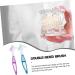 Moluckfu Travel Toothbrush & Prosthesis Cleaning Brush - 2 Pack for Braces & Prosthetics - Buy Online on GoSupps.com