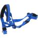 Dog Head Collar - Adjustable Pet Head Halter with Safety Strap for Leash Training - Size L Blue - Buy Online on GoSupps.com