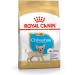 Royal Canin Chihuahua Puppy | Pack of 3 | 3 x 500 g | Complete food specially designed for Chihuahua puppies | Up to 8 months | May help reduce stool odors - Buy Online on GoSupps.com