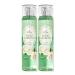 Bath and Body Works Fresh Gardenia Fine Fragrance Mists Pack Of 2 8 oz. Bottles (Fresh Gardenia) - Buy Online on GoSupps.com