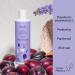 Hagi Cosmetics Plum Picking Natural Shower Gel With Australian Davidson Plum Vanilla Aloe Panthenol and Prebiotics Gentle & Moisturizing Perfect for All Skin Types 300ml - Buy Online on GoSupps.com