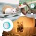 Silent Hamster Wheel Small Animal Activity Toy Pets Running Sports Exercise Wheel for Small Animal Hamster 12cm in Diameter - Buy Online on GoSupps.com