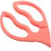 TOYANDONA 6 Pcs Bottle Clip Bottle Holder Anti-Slip Bottle Forceps Anti- Scald Clip Holder Ice Cube Clip Green Fabric Dye Bottle Tong Bowl Plate Clamp Pp Detachable Pacifier Pliers 25X9.5CMx3pcs As Shownx3pcs - Buy Online on GoSupps.com