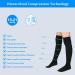 ACWOO Thigh High Compression Stockings 15-21mmHg - Support for Varicose Veins, Edema, Flight, Nurses, Running - Men & Women - Buy Online on GoSupps.com