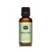 P&J Trading Fragrance Oil | Honeydew Oil 30ml - Candle Scents for Candle Making Freshie Scents Soap Making Supplies Diffuser Oil Scents