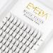 Premade Fans Volume Lash Extensions C Curl 0.07 Mix Tray 9mm 10mm 11mm 12mm 13mm 14mm 15mm Mixed Trays .07 5D Fanned Russian Cluster Eyelashes by EMEDA(5D .07 C 9-15mm Mix) 5D-0.07-C 9-15 mm