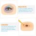 FRCOLOR Makeup Practice Skin Eyeshadow Eyebrow Fake Pro Tools Silicone Makeup Fake Skin Consumables Major 1 count (Pack of 1) As Shown 1 - Buy Online on GoSupps.com