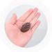 HEMOTON 32 Pcs Simulation Chocolate Realistic Fake Food Props Candy Simulated Chocolate Art Charms Flatback Chocolate for Diy Craft Dessert Turkey Children Supply Bars Pvc Mini Assorted 3d - Buy Online on GoSupps.com