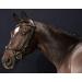 PresTeq FaySport Snaffle Bridle - Black Full Size | Premium Equestrian Gear for International Shipping - Buy Online on GoSupps.com