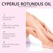 Natural Hair Removal Oil 60ml Set of 2 Cyperus Rotundus Oil to Slow Unwanted Hair Growth for Women Mens Moisturizing & Soothing Ideal for All Skin Types 1 Count (Pack of 2) Cyperus Rotundus Oil 60ml - Buy Online on GoSupps.com