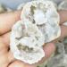 Natural Magic 2pcs 4-5cm Natural Agate geode Crystal Geode s and Crystals Gifts Quartz Crystal - Buy Online on GoSupps.com