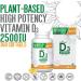 Benemax Vitamin D3 2500 IU For Healthy Bones Teeth and Helps Prevent Vitamin D Deficiency Plant Based & Vegan 360 Day Supply - Buy Online on GoSupps.com