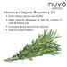 Organic Rosemary Oil for Hair Growth | Moroccan & Jojoba Oil Blend | Moisturizes Split Ends & Dry Scalp | 30ml - Product of Canada - Buy Online on GoSupps.com