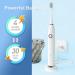 Sonic Electric Toothbrush with 8 Brush Heads Rechargeable Soft Bristle Smart Timer & 5 Modes - Fast Charge for 30 Days - Perfect for Adults & Kids | Gloss White - Buy Online on GoSupps.com