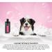 GROOM Professional Almond Detangle Dog Shampoo | Anti-Rush & Melting Formula | 450ml - Top Choice for Pet Care - Buy Online on GoSupps.com