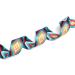 Suredoo Adjustable Nylon Dog Collar - Soft & Comfortable for Small to Medium Dogs (S 25-40 cm Neck 1.5 cm Width) - New Geometry Design - Buy Online on GoSupps.com