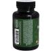 Dragon Herbs Gynostemma 450 mg - 100 Capsules | Premium Herbal Supplement - Buy Online on GoSupps.com