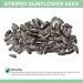 Cockatiel Specific Premium Mix Bird Seed Natural & Healthy Gourmet Choice 1.6KG In 2.4L Resealable Tub - Buy Online on GoSupps.com