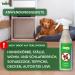 Envira Flea Spray - Odourless Water-Based Anti-Flea Remedy for Home - 2 x 500ml Environmental Solution - Buy Online on GoSupps.com