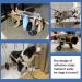 Adjustable Height Rear Leg Support Wheelchair Hind Leg Dog Wheelchair Pet Dog Rehabilitation Wheelchair Suitable for Adult Dogs (Size : L) Large - Buy Online on GoSupps.com