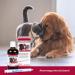 Alfavet Pulmo Alfa Double Pack - 2x100ml Juice for Dog & Cat Respiratory Support | Supplementary Feed with Dosing Syringe - Shop Internationally - Buy Online on GoSupps.com