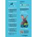 Complete Food for Dwarf Rabbits with Dried Carrot & Yucca 2.3 kg Pack | Premium Rabbit Nutrition - Buy Online on GoSupps.com